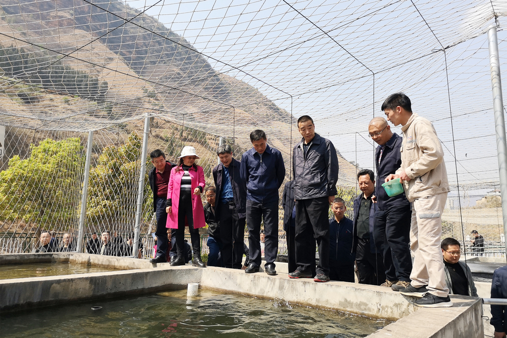 1616744746666045.jpg 羅世雄(前排左四)現場調研魚類增殖站1.jpg