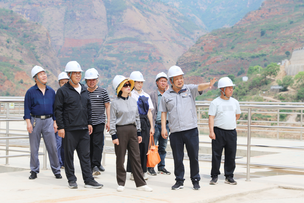 1620896896683602.jpg BM8A8509.JPG