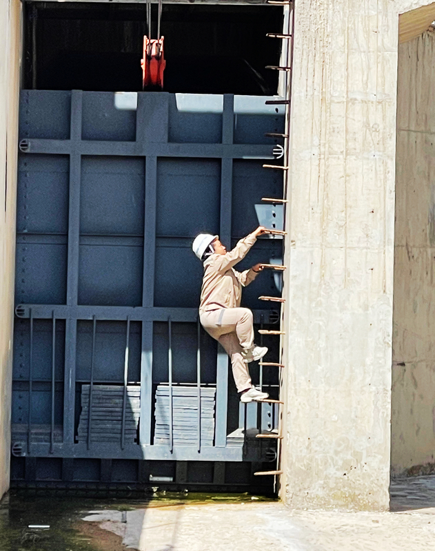 1646897801254662.jpg 2.jpg