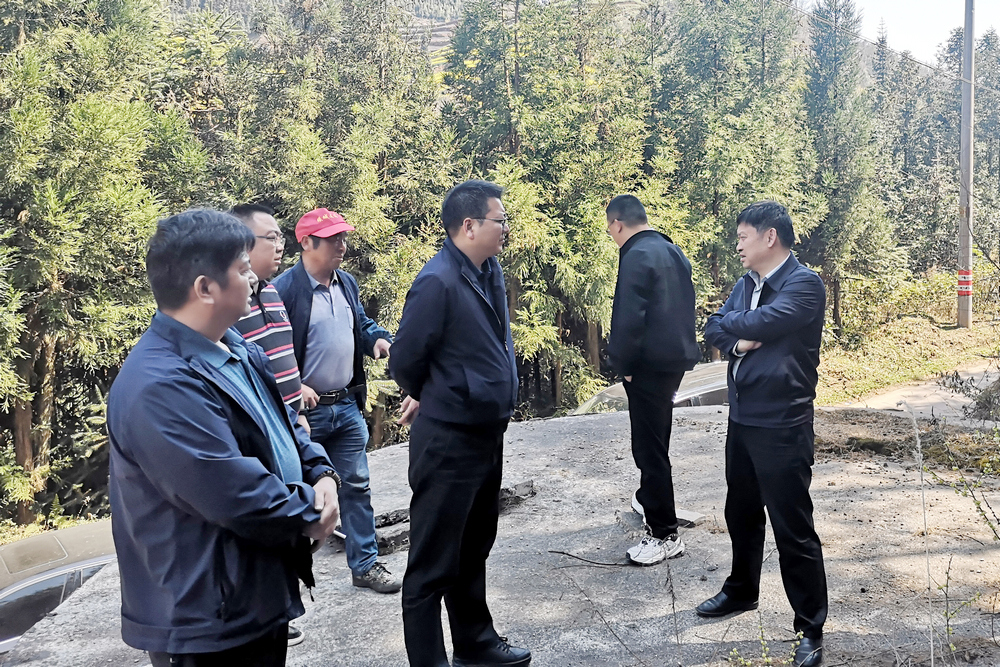 1646990498960770.jpg 1.jpg