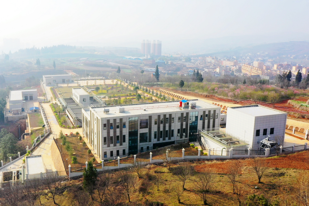 1647824062129585.jpg 4.jpg