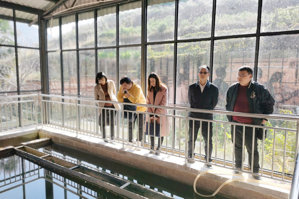 1647870097122631.jpg 3.jpg