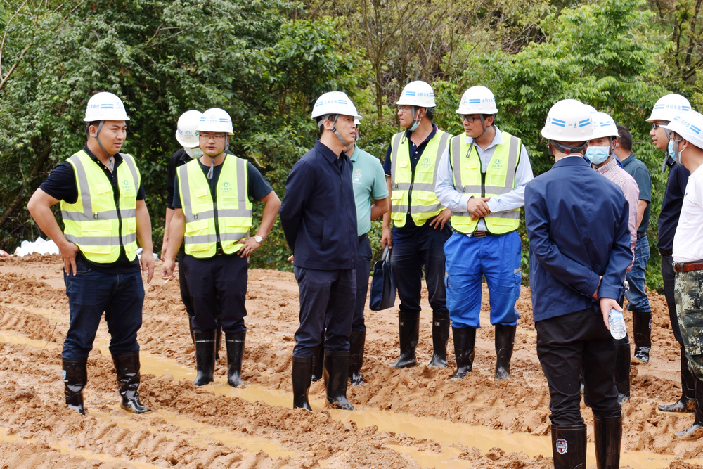 1655081614129779.jpg 1.jpg